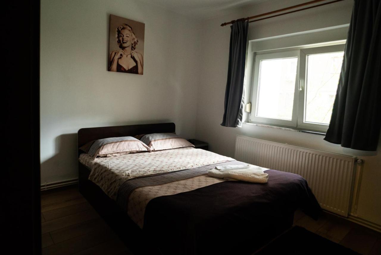 Apartament Dacul フネドアラ エクステリア 写真