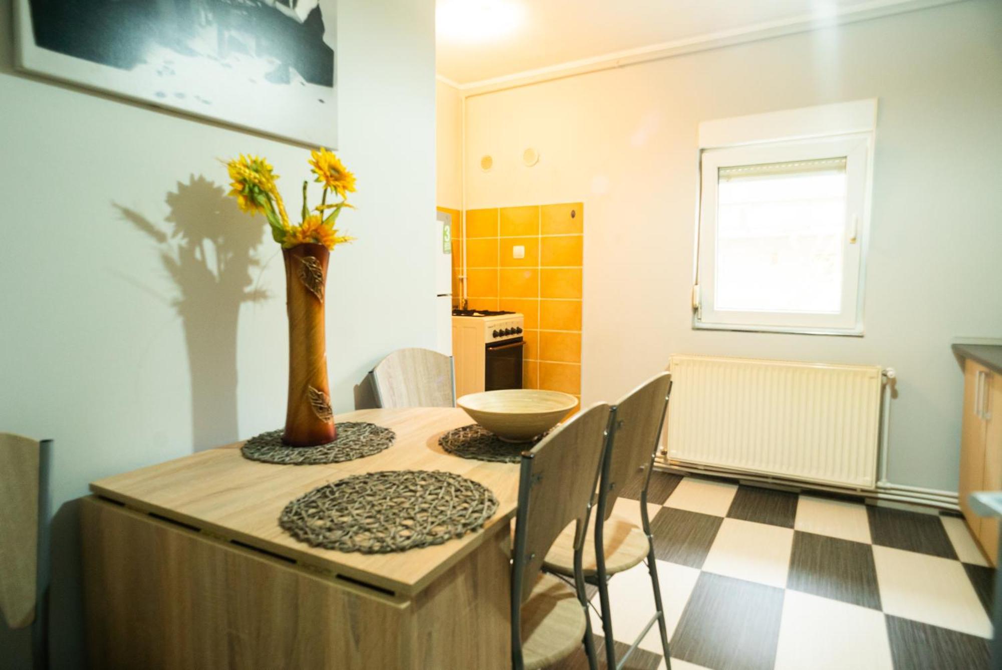 Apartament Dacul フネドアラ エクステリア 写真